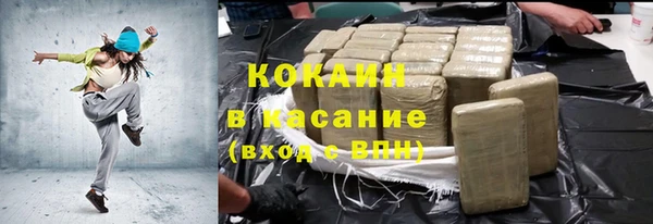тгк Абаза