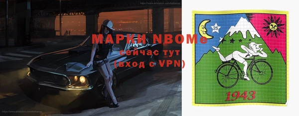 тгк Абаза