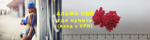 сатива Алзамай