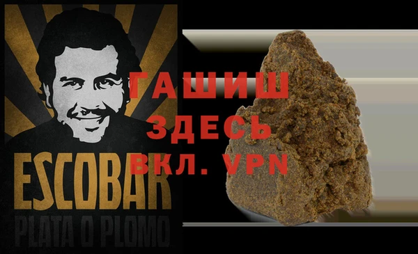 сатива Алзамай
