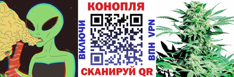купить закладку  Яхрома  Канабис индика 